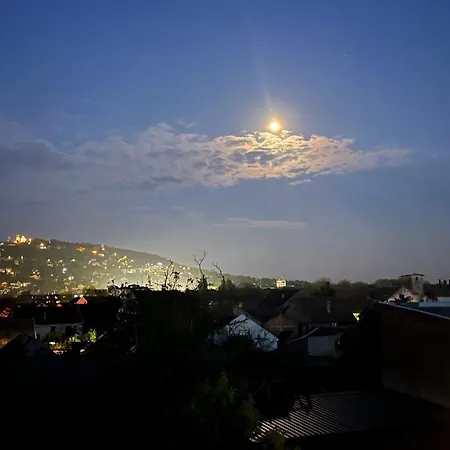 Park Lux Ii Apartment Vrsac